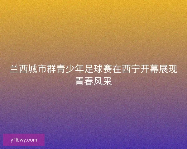 兰西城市群青少年足球赛在西宁开幕展现青春风采 兰西城市群青少年足球赛在西宁开幕展现青春风采