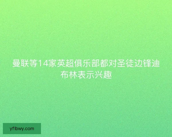 曼联等14家英超俱乐部都对圣徒边锋迪布林表示兴趣